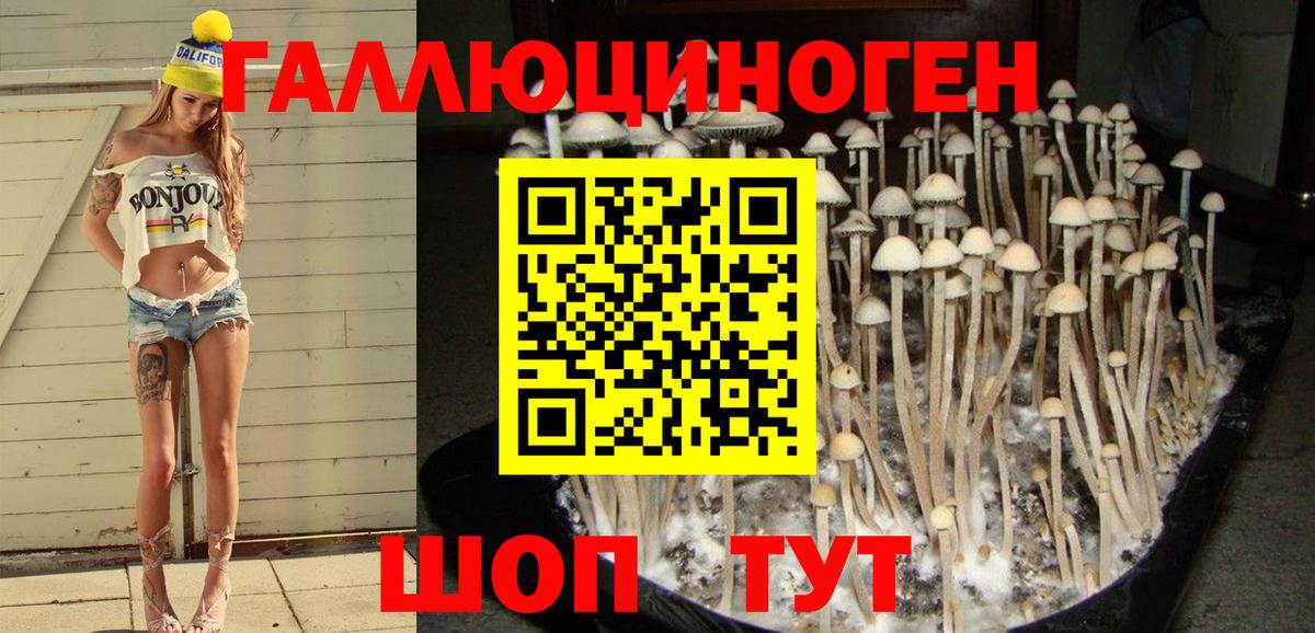 Химки  Галлюциногенные грибы Cubensis  Вход с VPN 