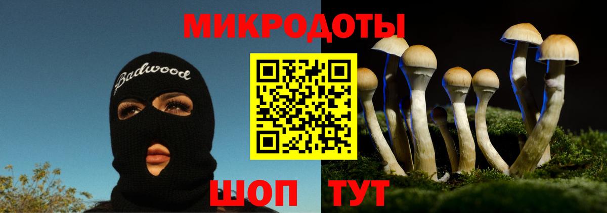 Галлюциногенные грибы GOLDEN TEACHER Химки