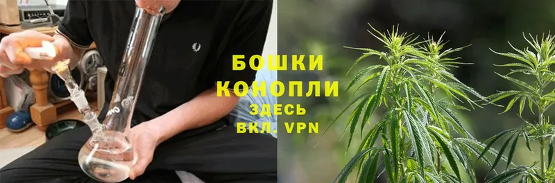 МАРИХУАНА Ganja  Химки 